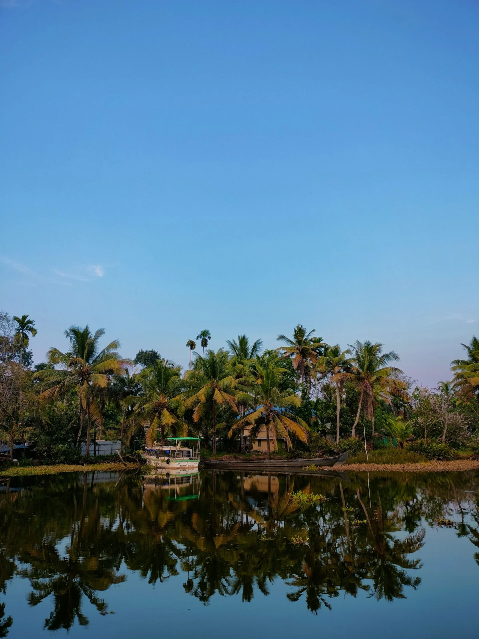 A serene dusk scene with palm trees reflecting on a tranquil lake in Manakunnam, India.